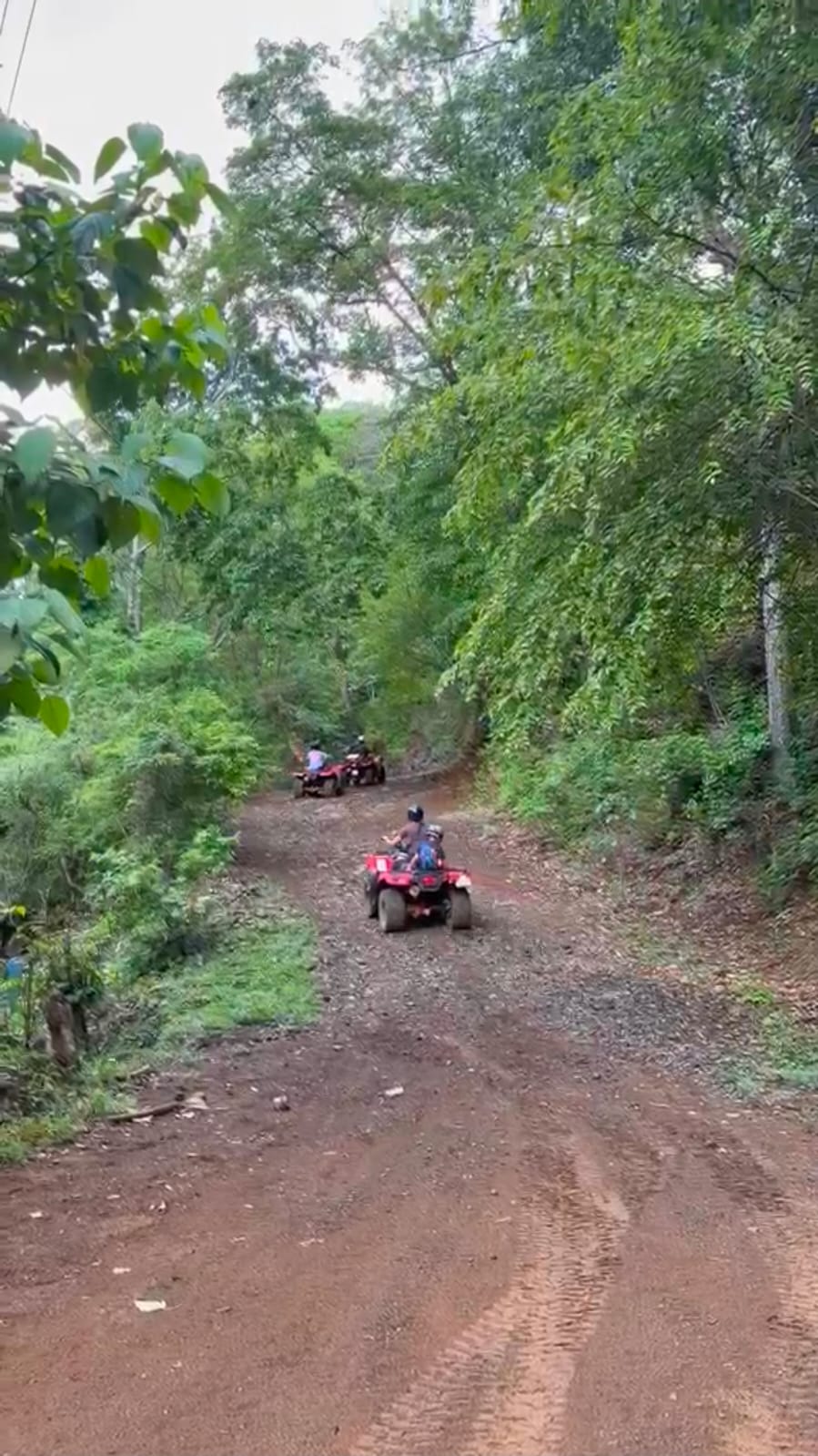 Four Wheelers riding along a road surrounded by forest