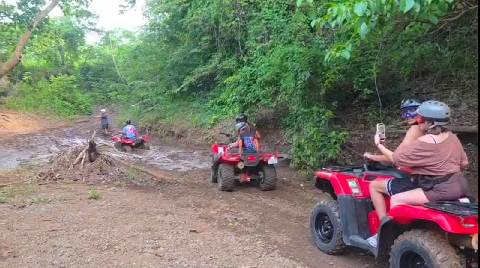 Group riding Four Wheelers on a forest trail